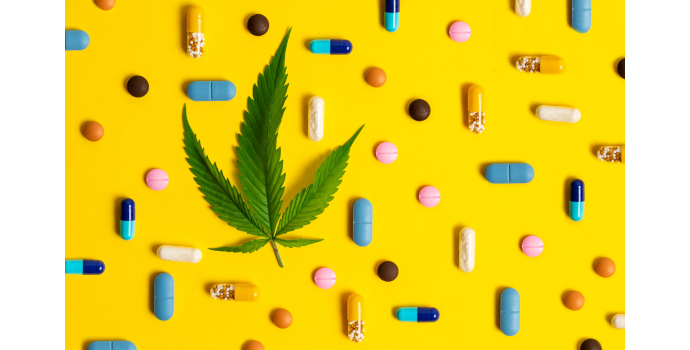 CBD Ja Retseptiravimid: Kas Kannabinoidid Võivad Mõjutada Ravimite Imendumist?